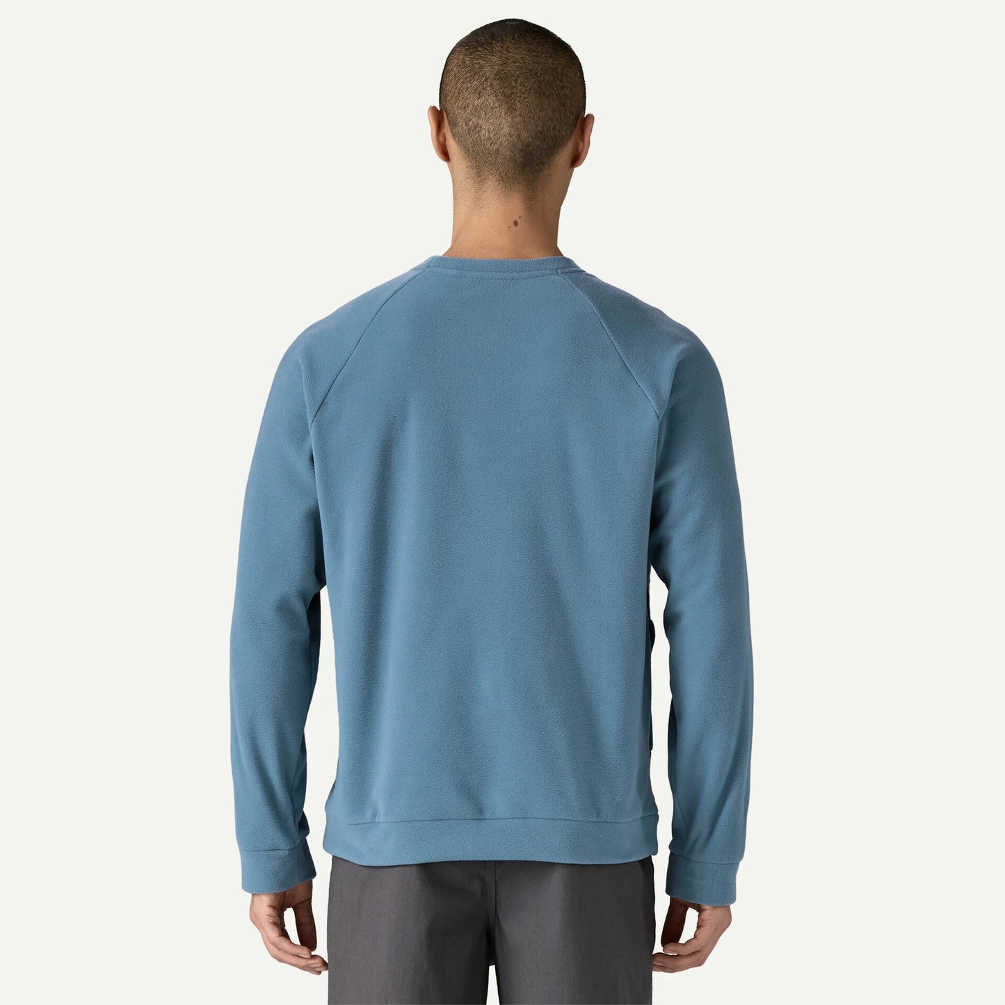 Patagonia Men's Micro D Crewneck