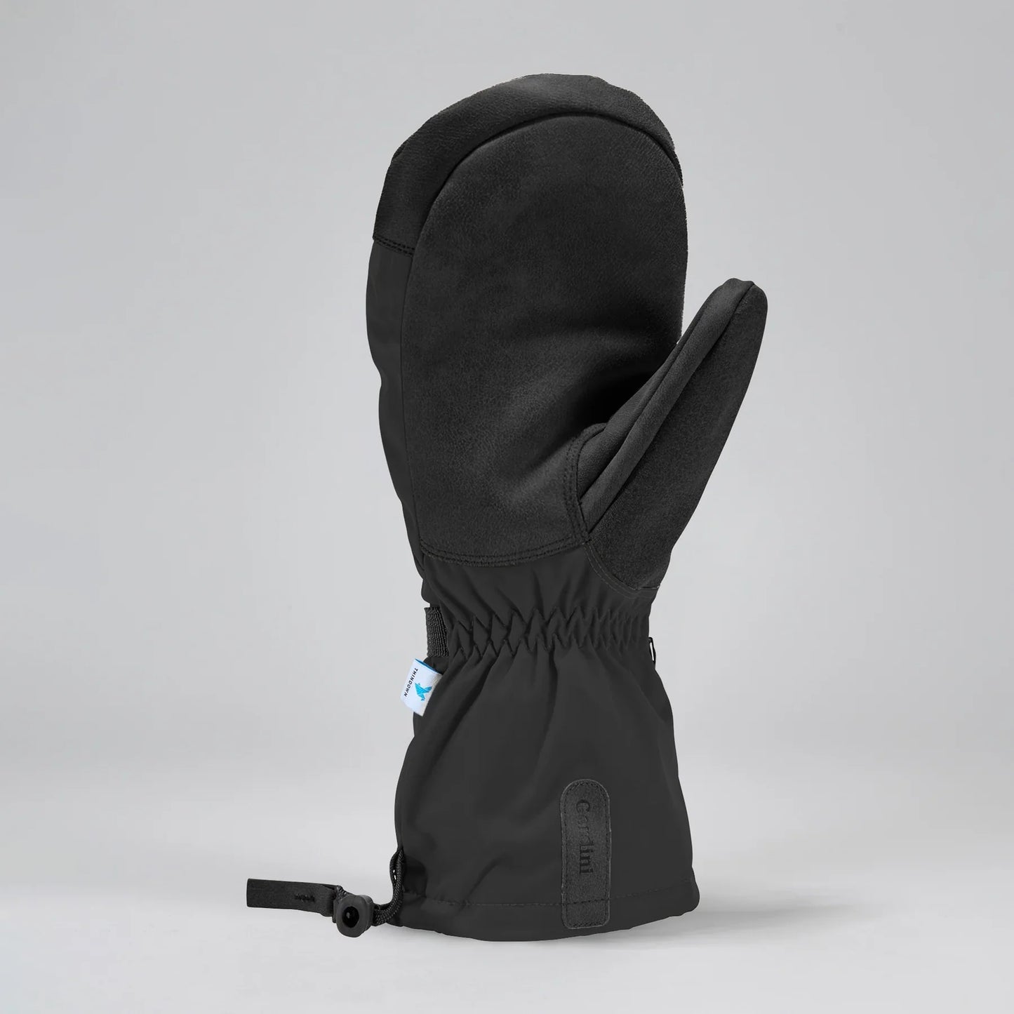Gordini Women's Windward Mitten