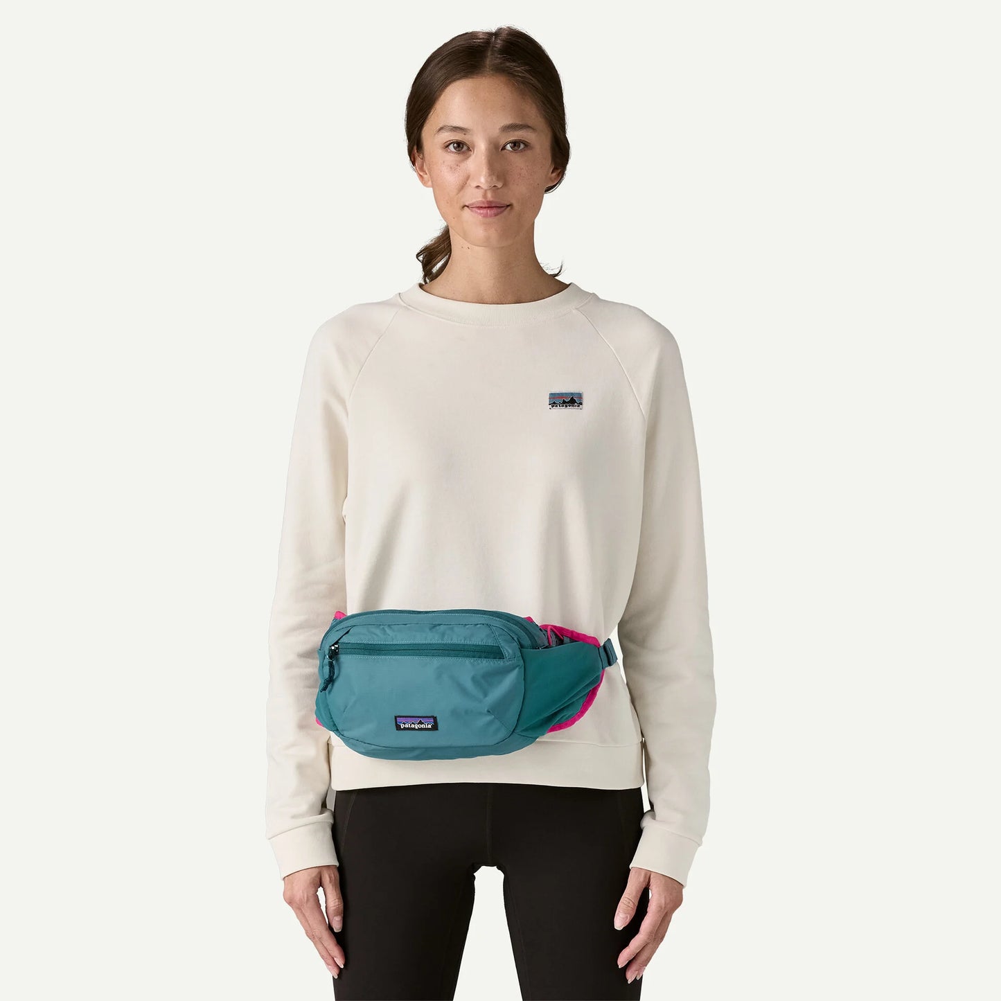 Patagonia Terravia Hip Pack