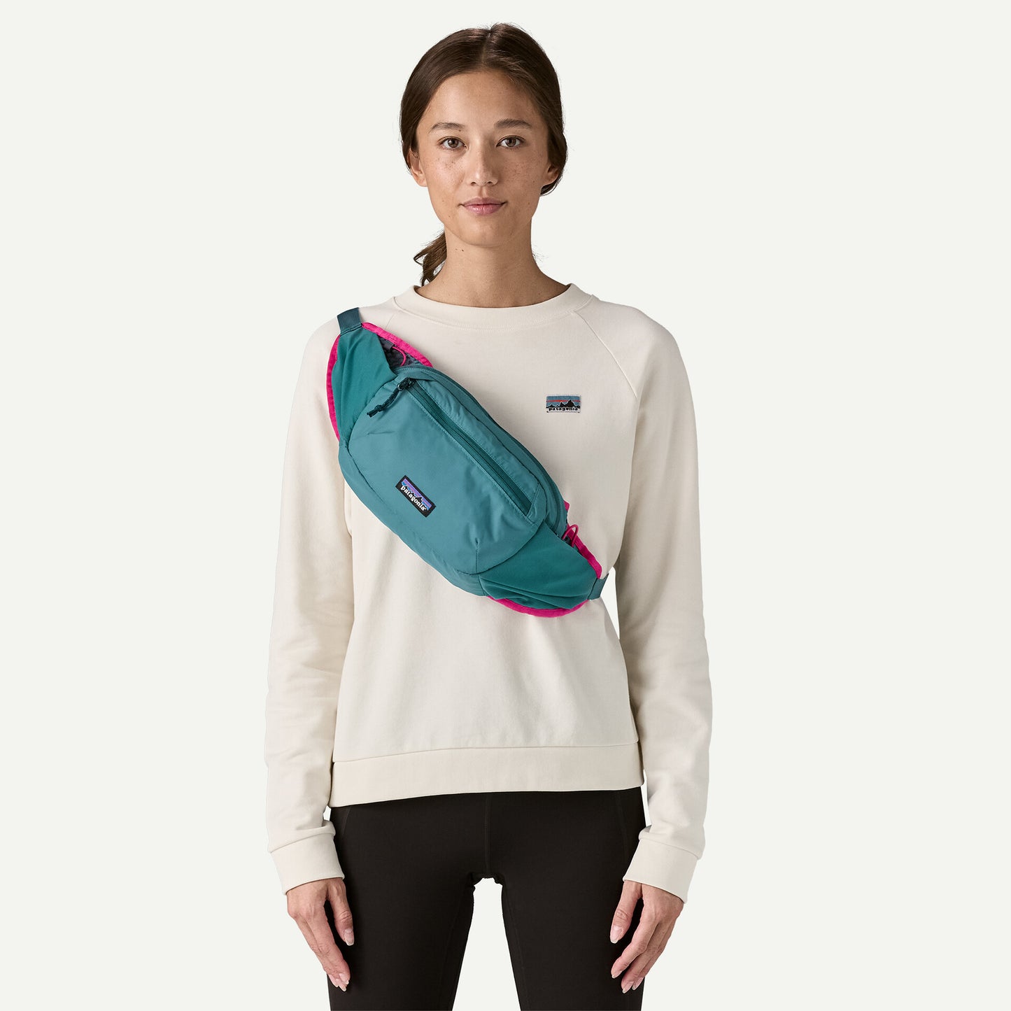 Patagonia Terravia Hip Pack