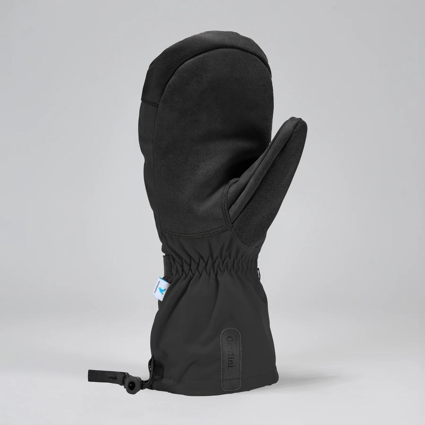Gordini Men's Windward Mitt