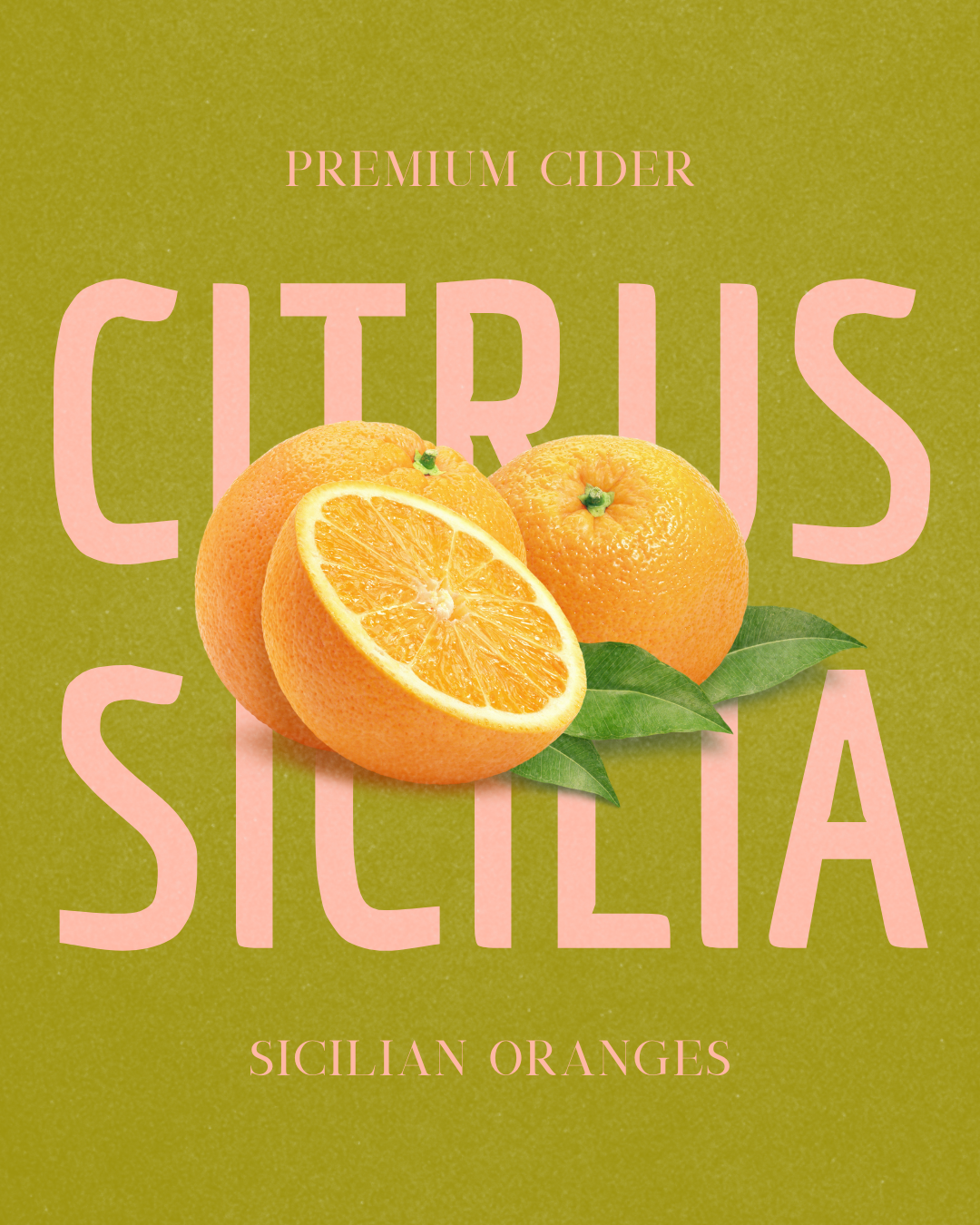 2024 Tecnica Cochise 95 W