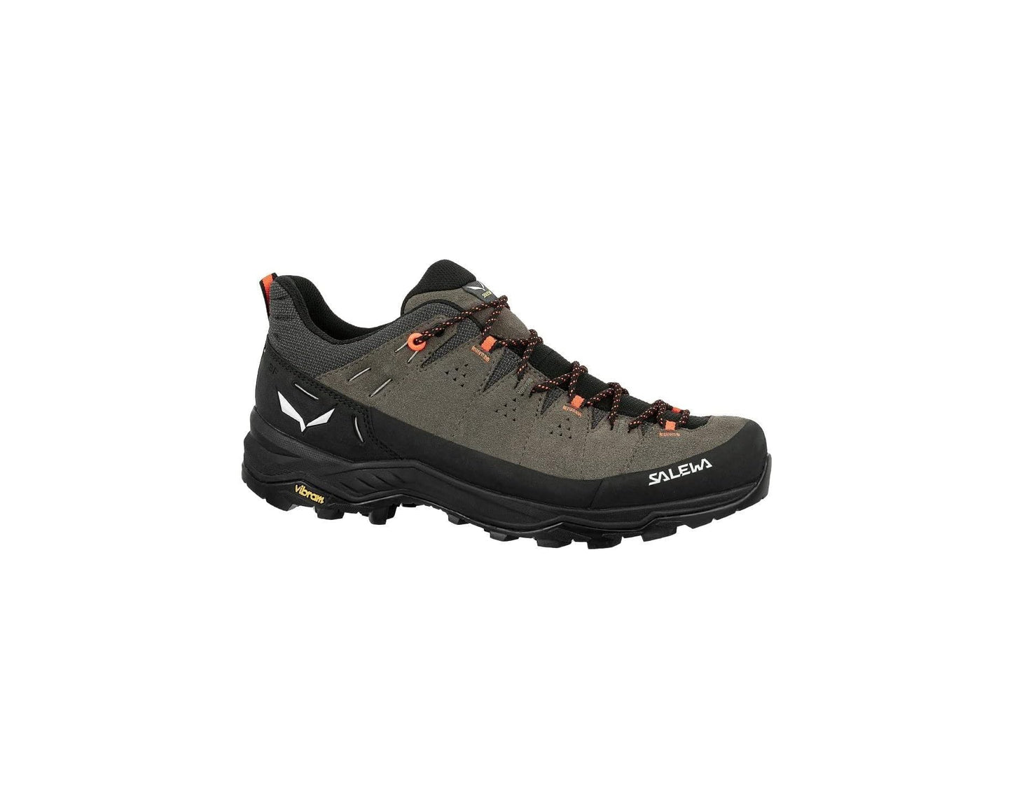 Salewa Men's Alp Trainer 2 Gore-Tex Shoe