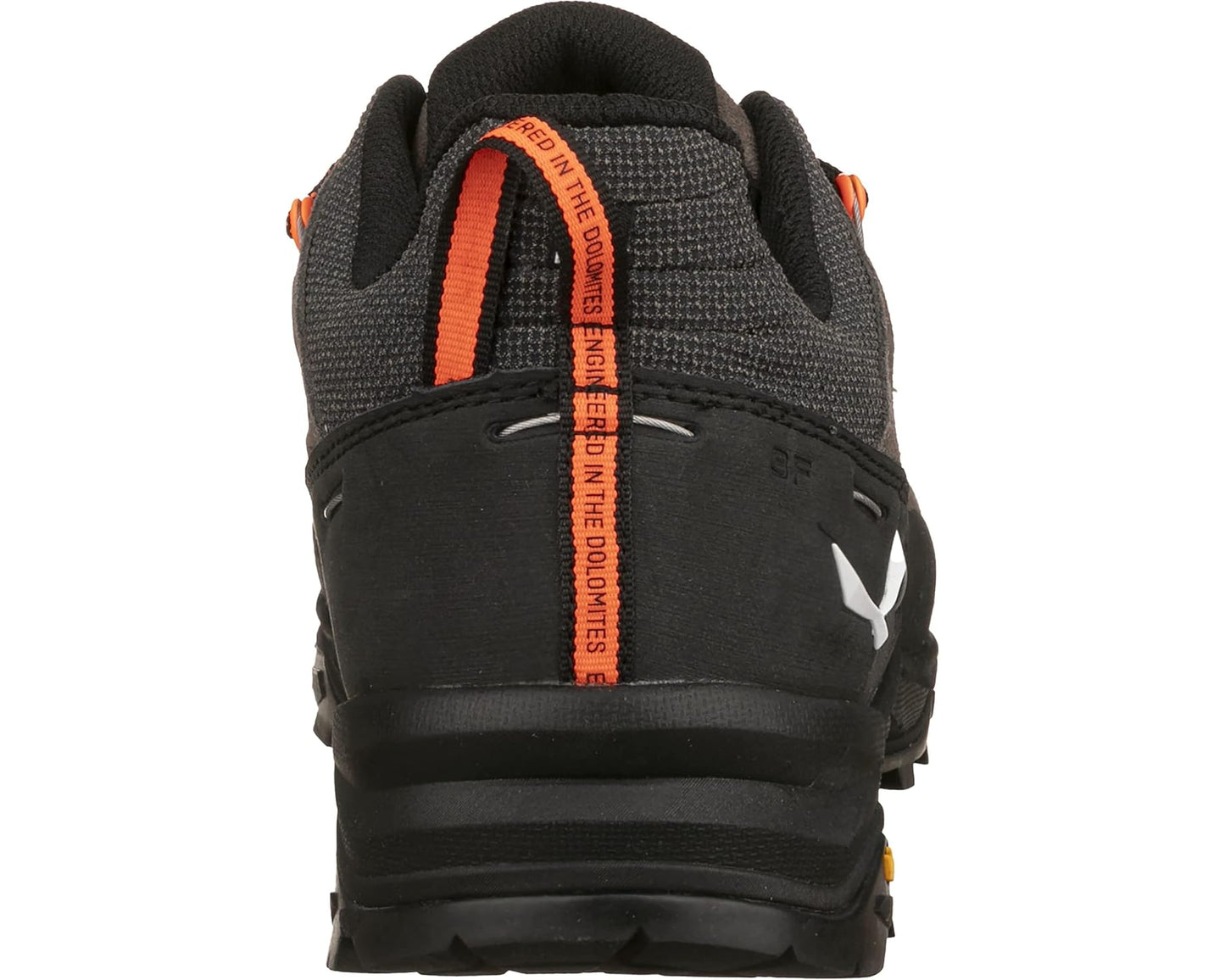 Salewa Men's Alp Trainer 2 Gore-Tex Shoe