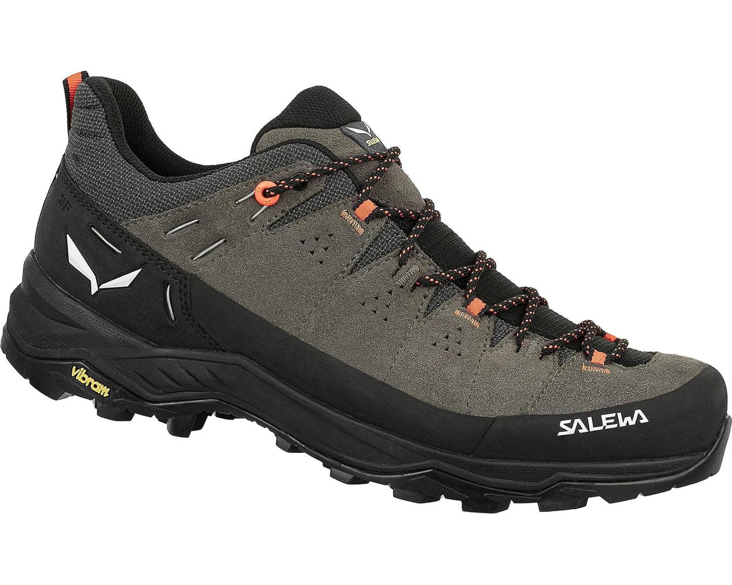 Salewa Men's Alp Trainer 2 Gore-Tex Shoe