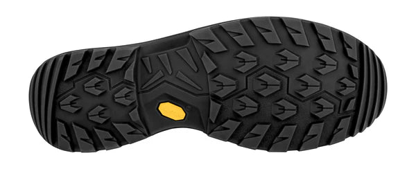 LOWA Men's Renegade Evo GTX Mid