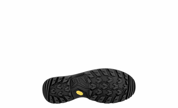 LOWA Men's Renegade Evo GTX Mid