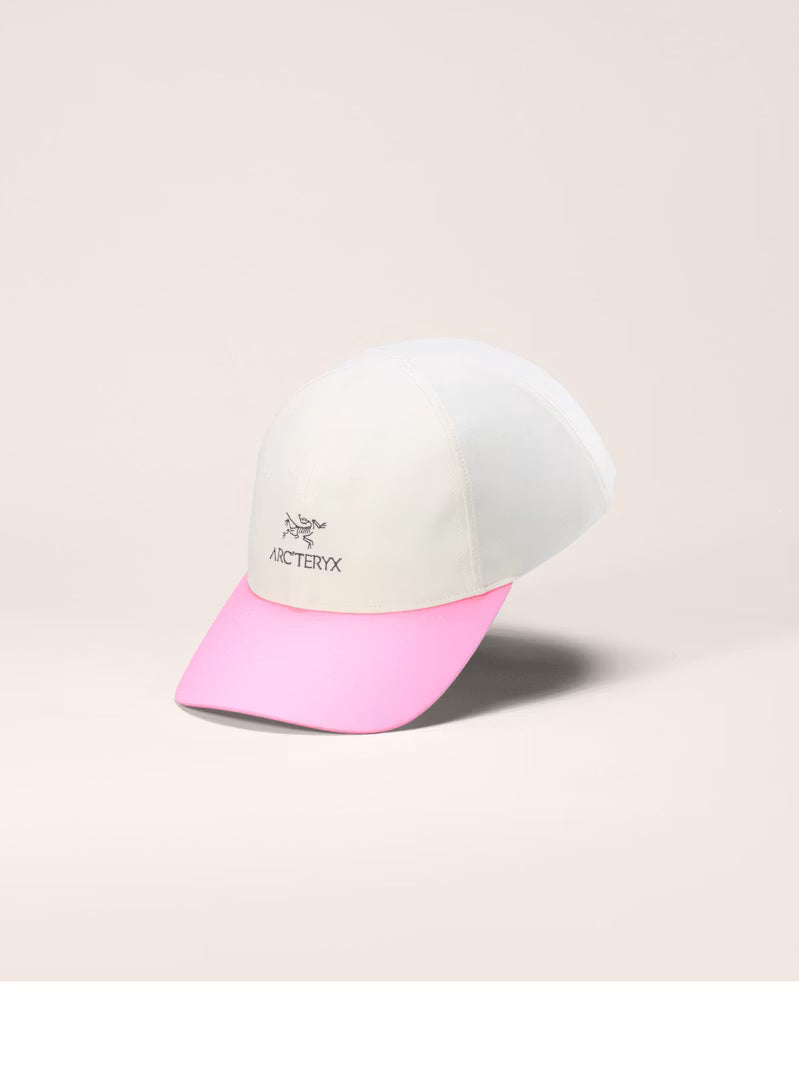Arc'teryx Bird Word Cap