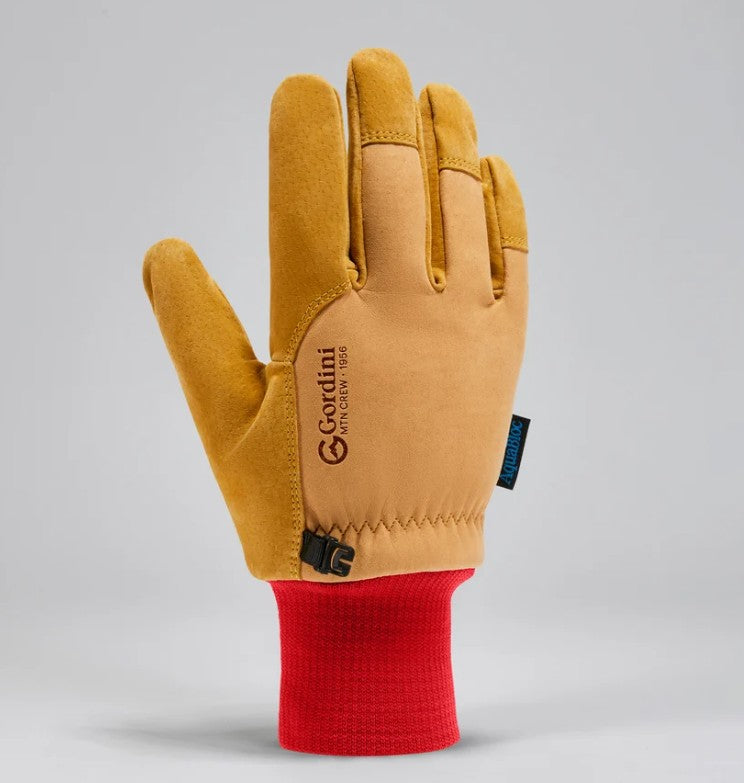 Gordini Men's MTN Guide Glove