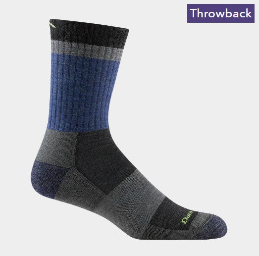 Darn Tough Men's Heady Stripe Micro Crew Lightweight Hiking Sock 1924
