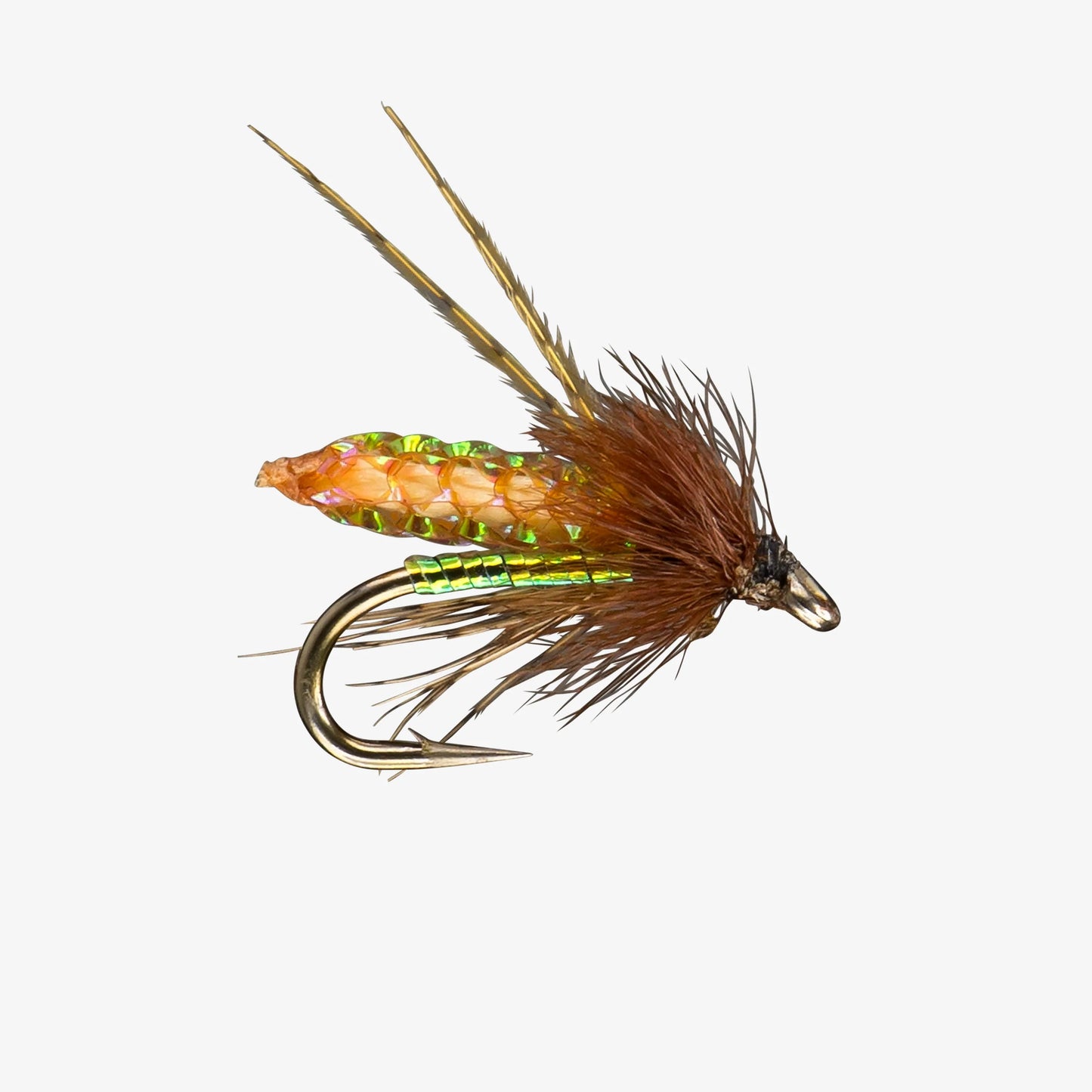 RIO PC Pupa