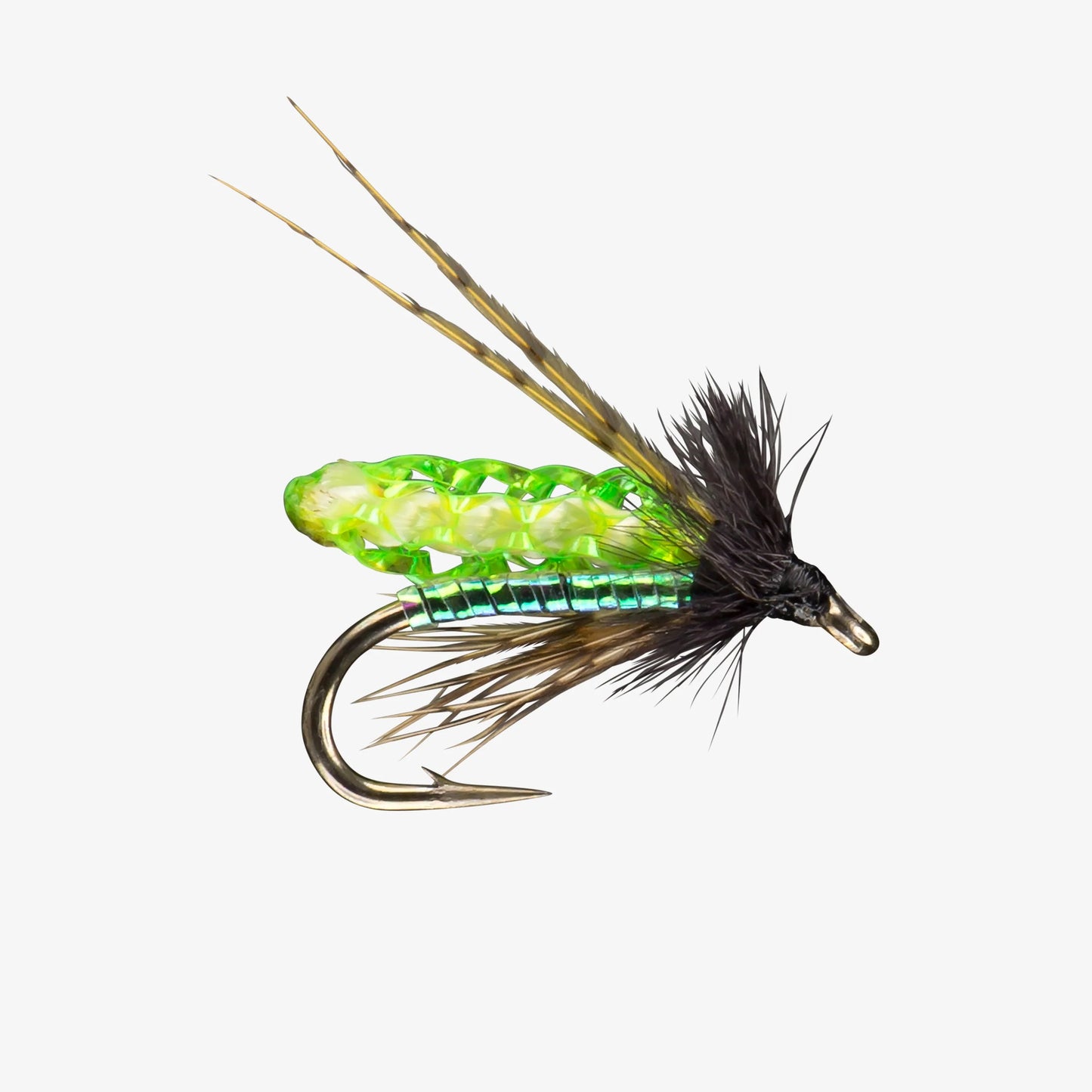 RIO PC Pupa