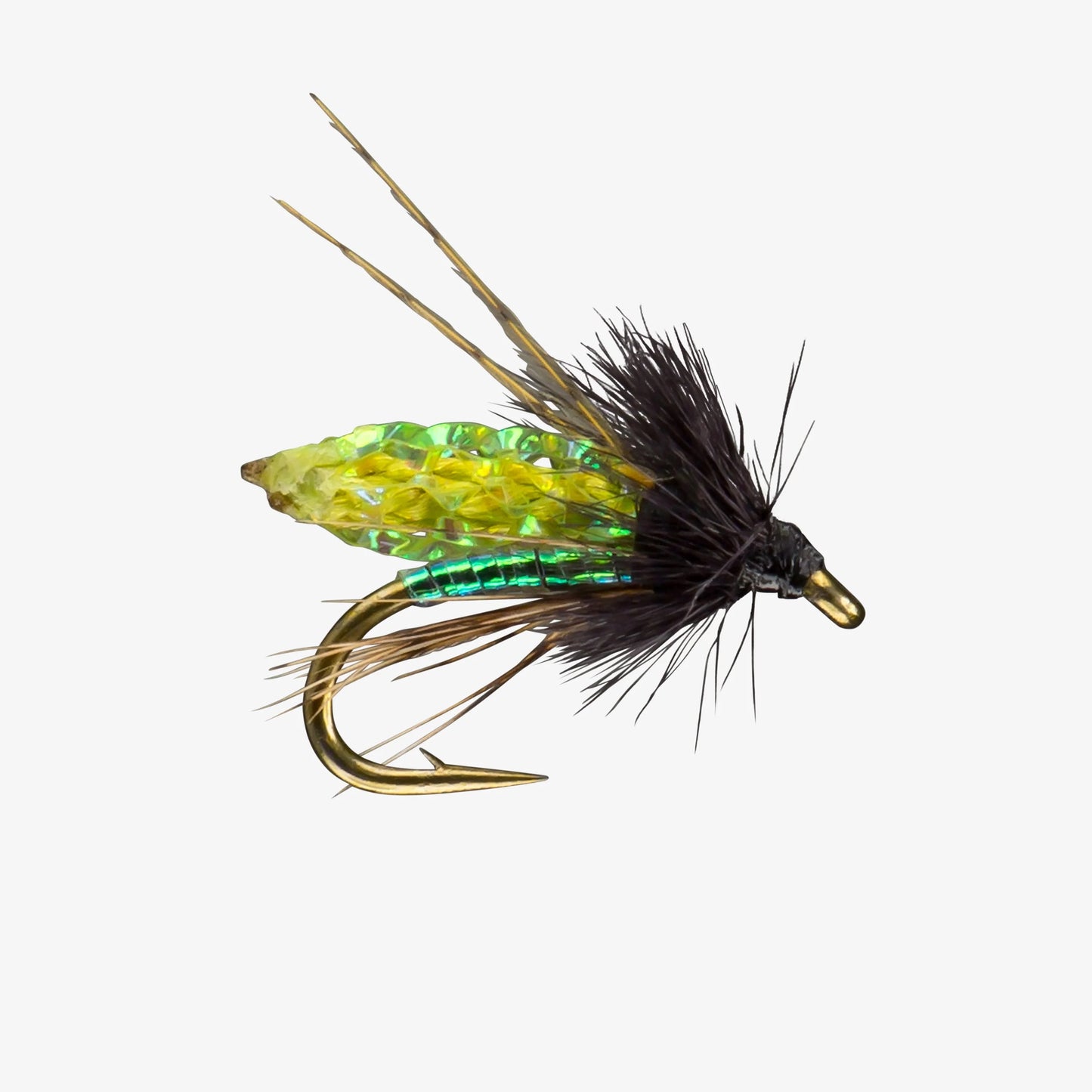 RIO PC Pupa