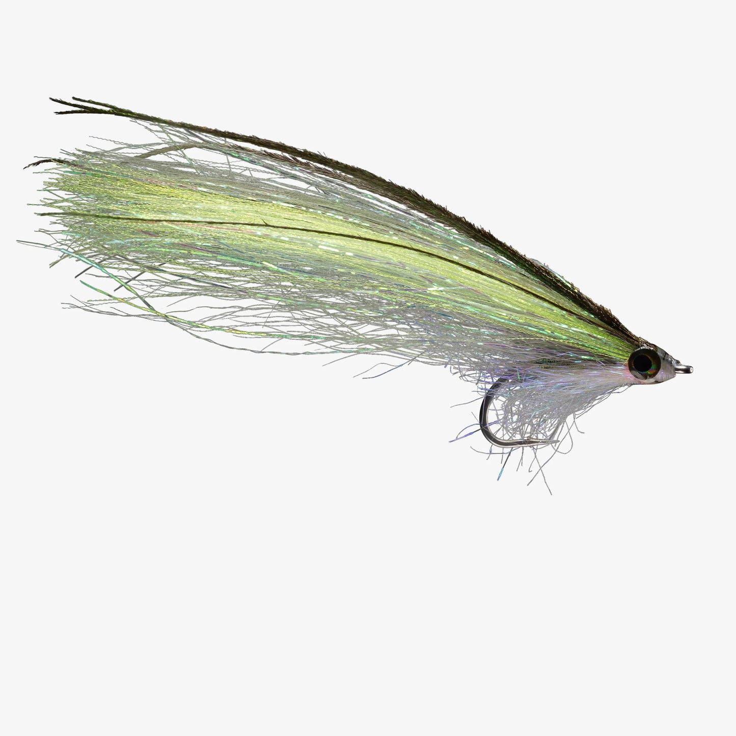 RIO Pipe Eel