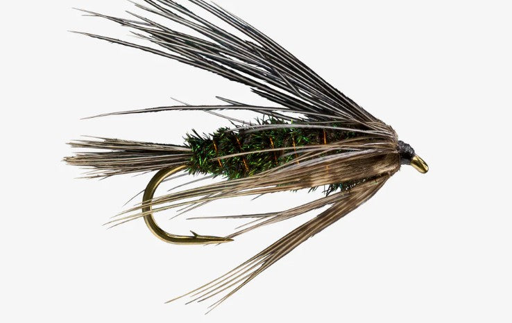 RIO Carey Special