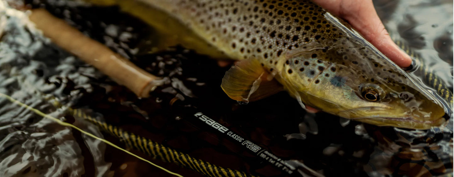 Sage R8 Classic Rod
