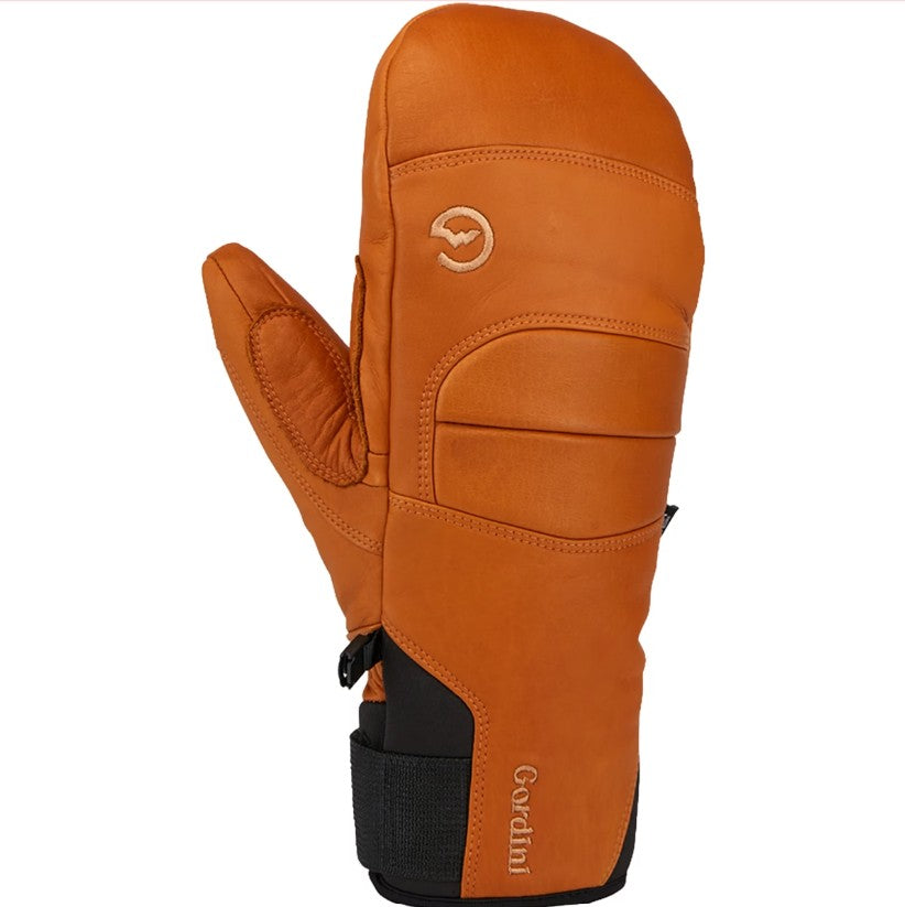 Gordini Alp Pro Mitten