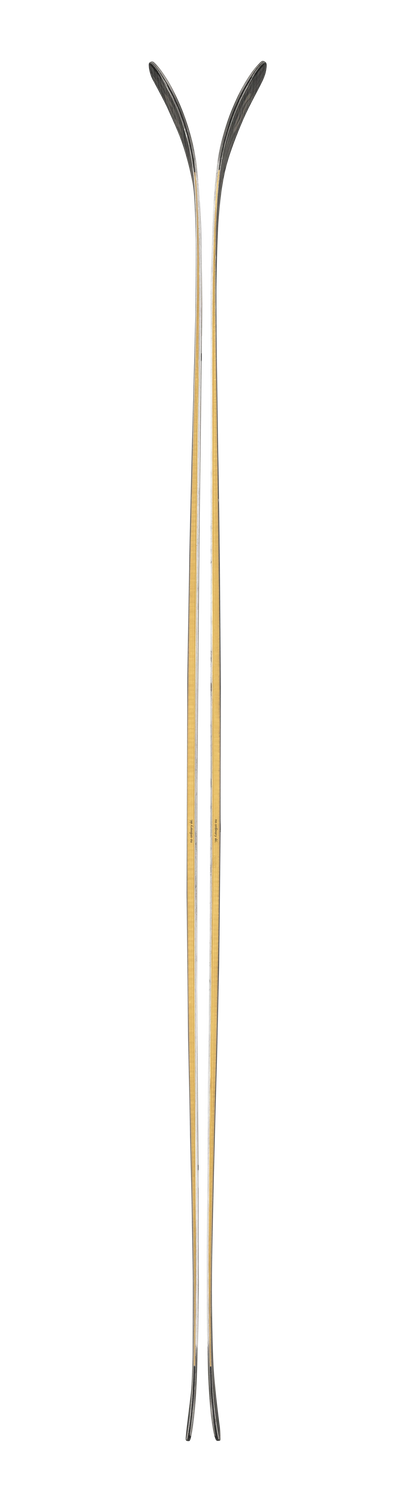 2026 Blizzard Anomaly 94