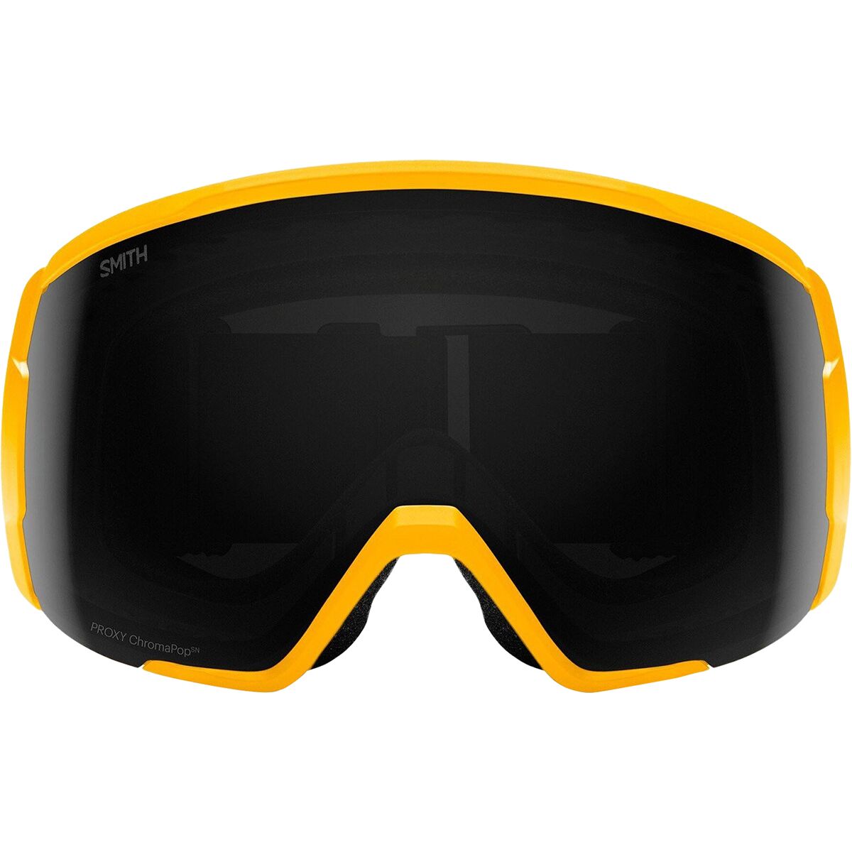Smith Proxy Goggle