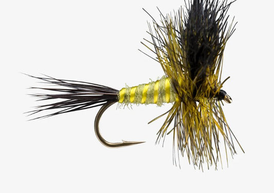 RIO Green Drake Wulff