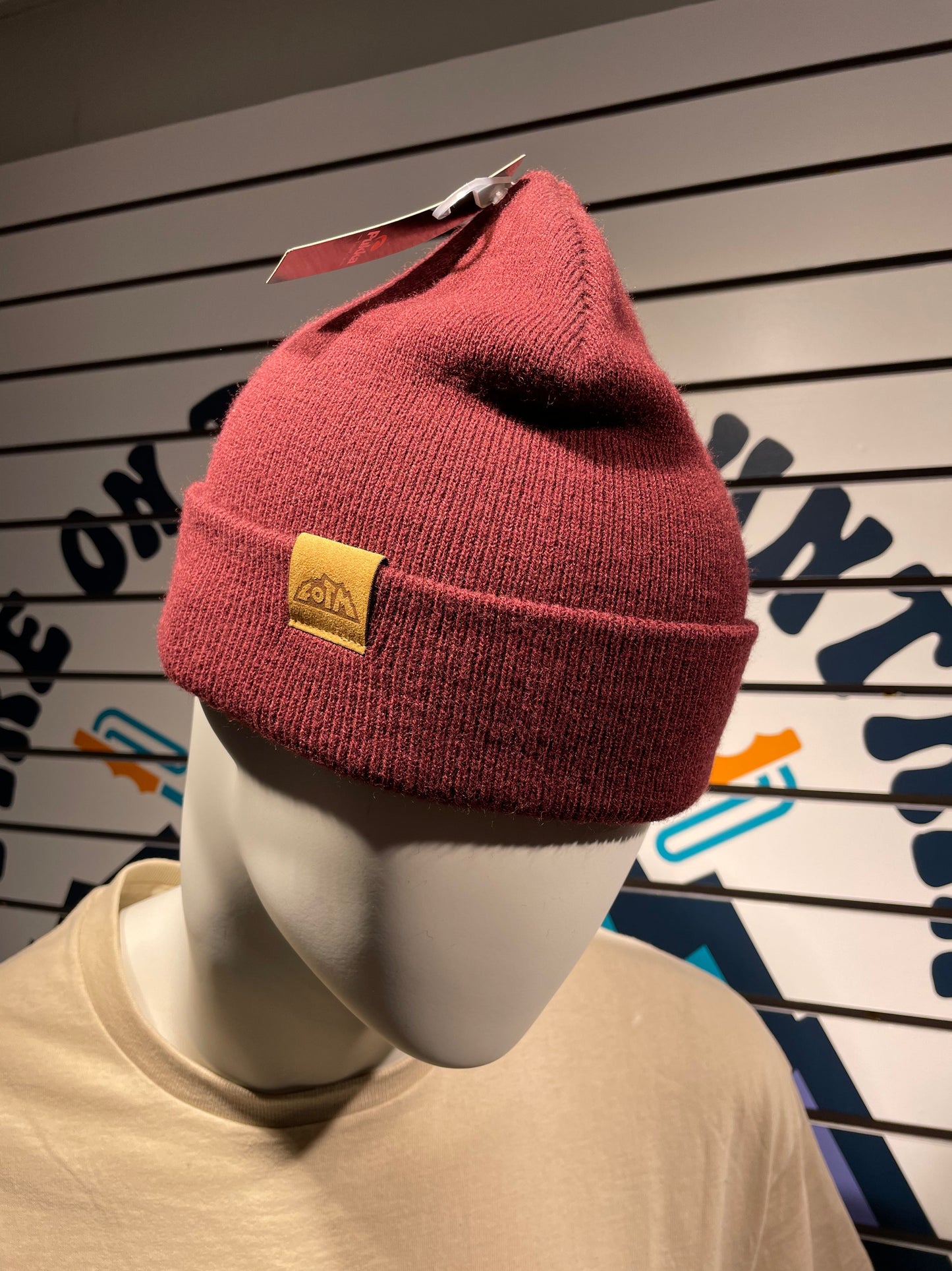 FOTM  Patch Logo Beanie