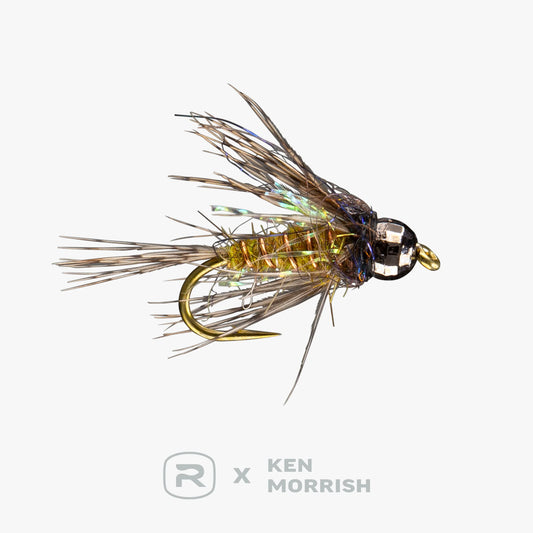RIO Morrish Dirty Bird TB