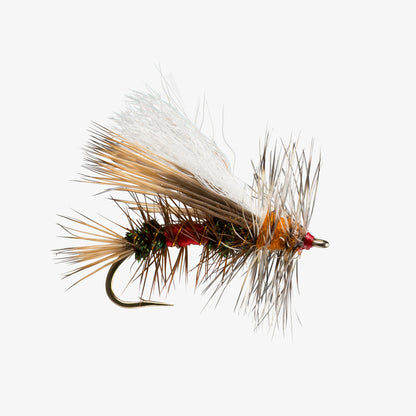 RIO Stimulator
