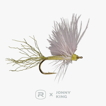 RIO King Wedgewing