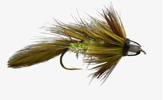 RIO CH Olive Blossom Special