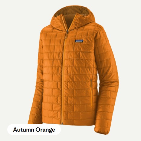 Patagonia Men's Nano Puff Hoody