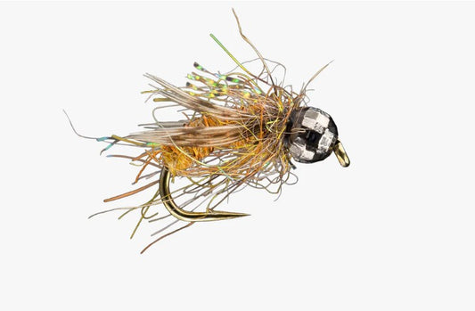 RIO Morrish Super Pupa TB