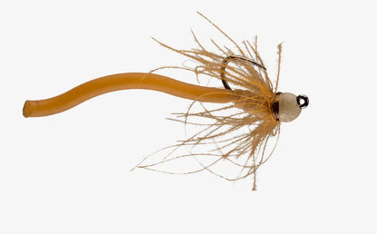 RIO Worm Farm TB