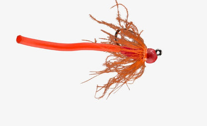 RIO Worm Farm TB